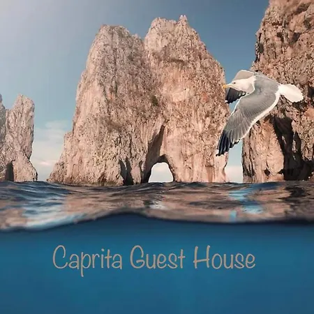 Bed & Breakfast Caprita 4*